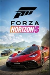 Forza racing simulator session